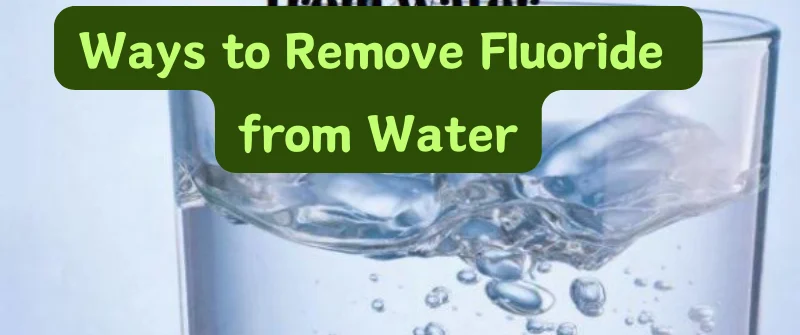 Ways to Remove Fluoride from Water