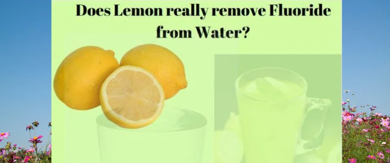 does lemon remove fluoride