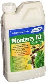 eradicating pantry moths using the bacillus thuringiensis insecticide