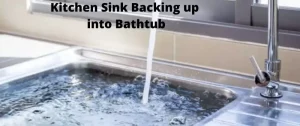 Sink Backing Up