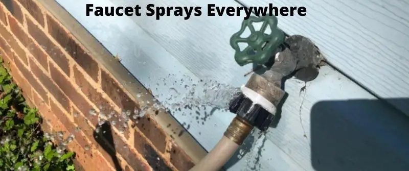 Faucet Spray
